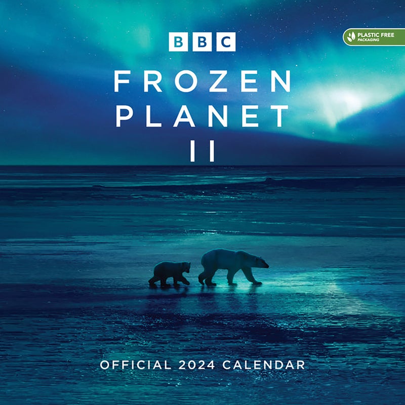 Trends International 2024 Disney Frozen Mini Wall Calendar