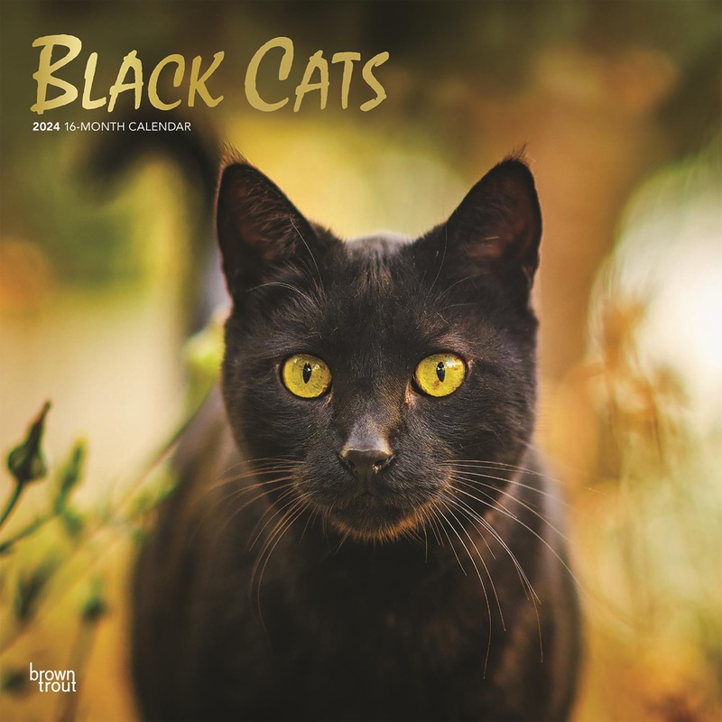 Buy 2024 Calendar Black Cats 16Month Foil Square Wall Browntrout