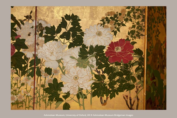 Image 9
