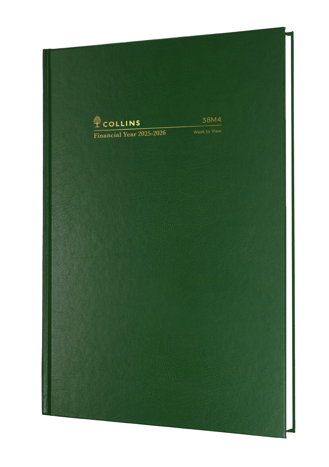 Image 2
