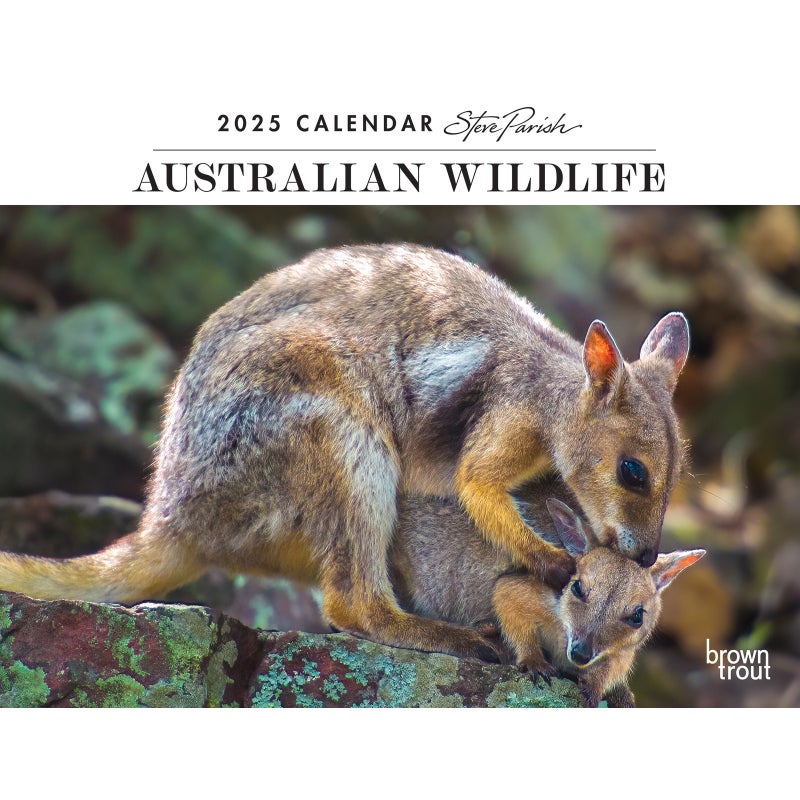 Buy 2025 Calendar Steve Parish Australian Wildlife Horizontal Wall