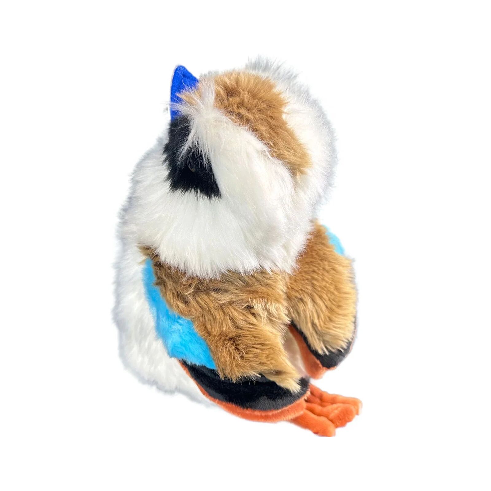 Image 2