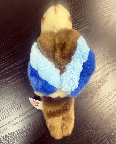 Image 2