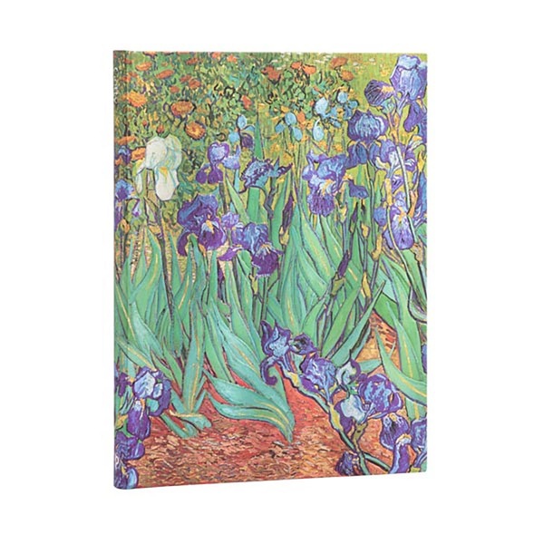 Image 2