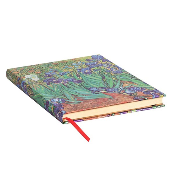 Image 4