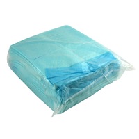 Livingstone Incontinence Underpad 5-Ply Tissue 60 x 40cm Bluey 200 Carton