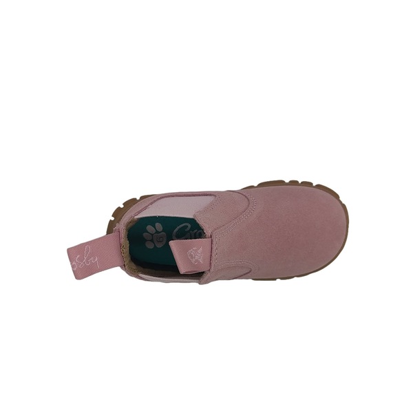 Image 5