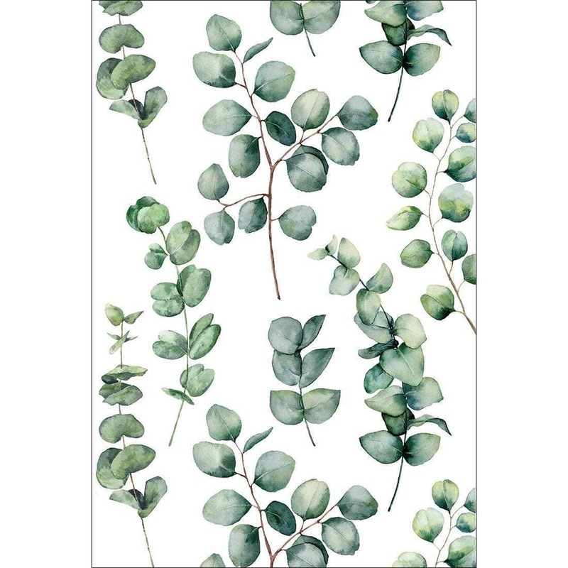 Buy Eucalyptus Party MyDeal