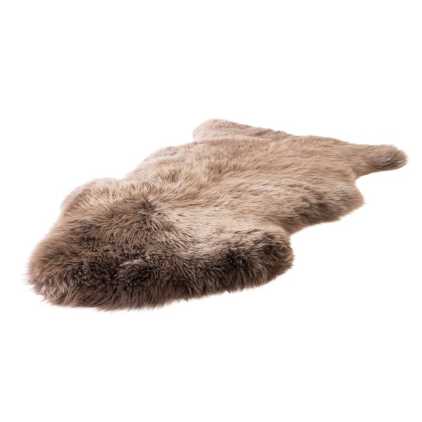 Image 13