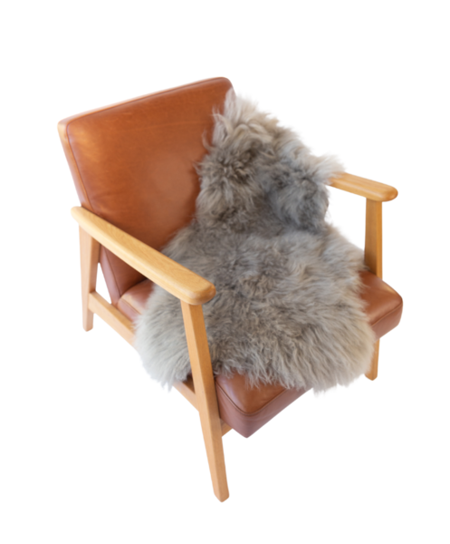 Image 11