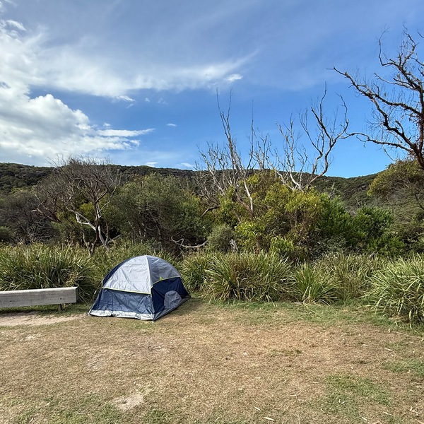 Image 6