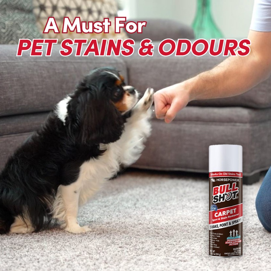 Horsepower Bull Shot Powerful Carpet and Upholstery Spot and Stain Remover, Stain-Lifting Foam-Action, Pet Stains & Odors, Coffee, Wine, Grease