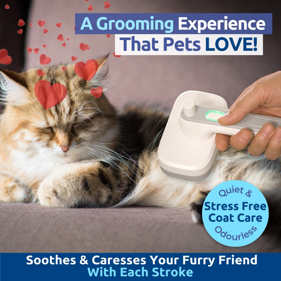 PiddiPet Electric Ion Powered Pet Grooming Brush for Dogs and Cats, Removes Knots, Detangles, Soft Bristles
