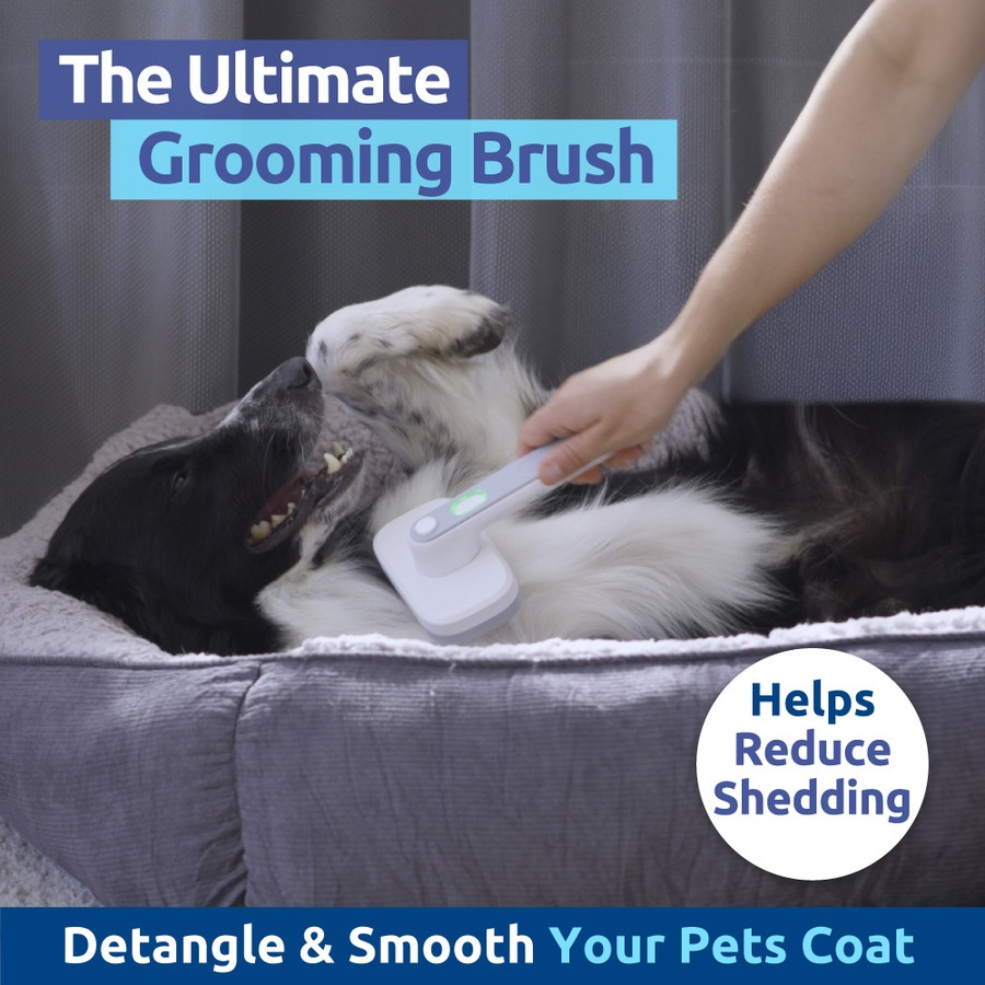 PiddiPet Electric Ion Powered Pet Grooming Brush for Dogs and Cats, Removes Knots, Detangles, Soft Bristles