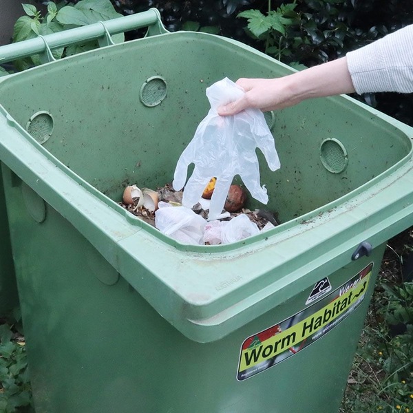 Image 15