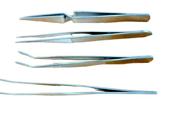 Image 5