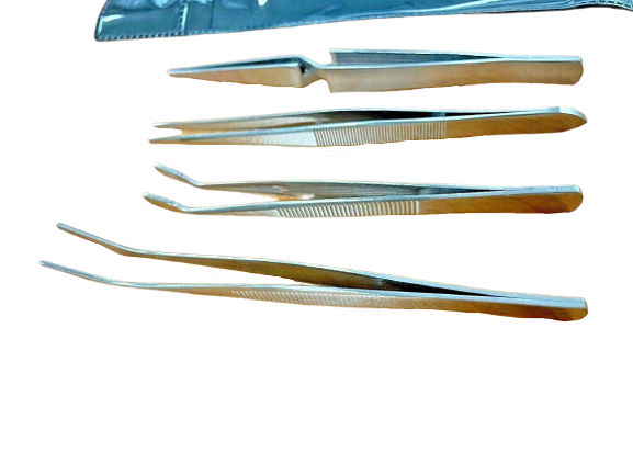 Image 6