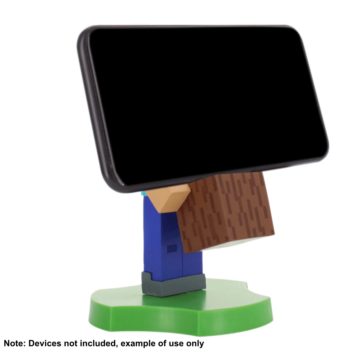 Image 5