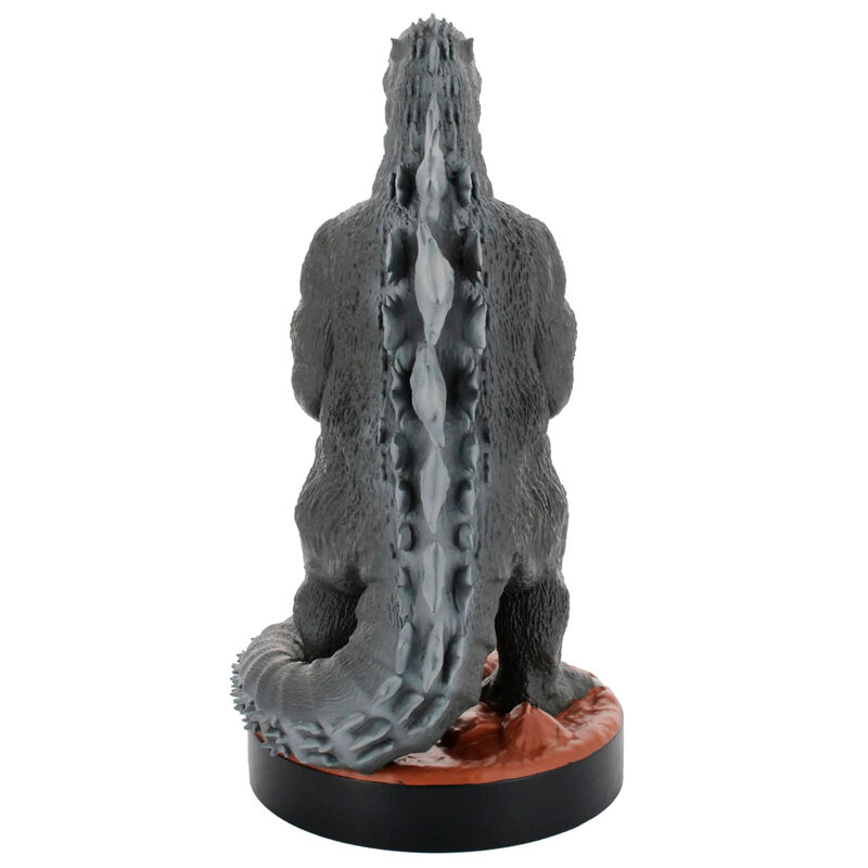 Image 5