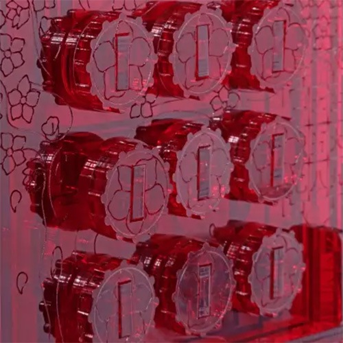 Image 4