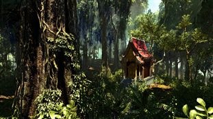 Image 5