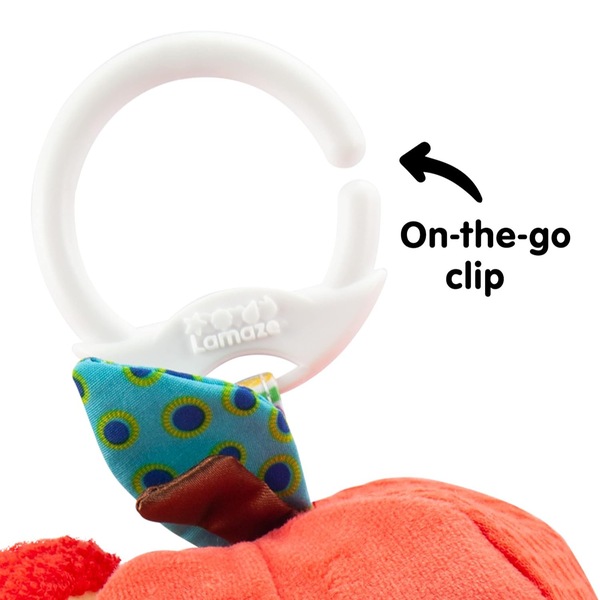 Image 5
