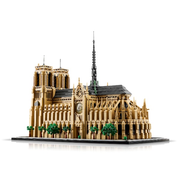 Image 6