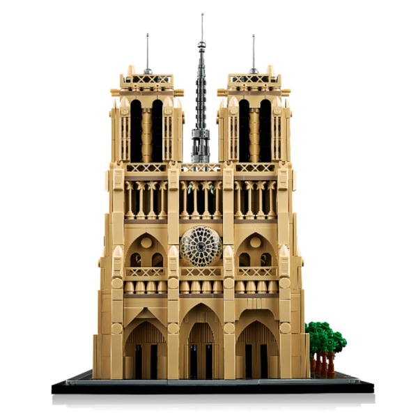 Image 8