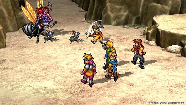 Image 5