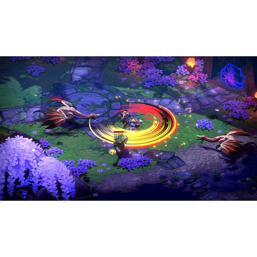 Towa and the Guardians of the Sacred Tree Limited Edition (PS5)