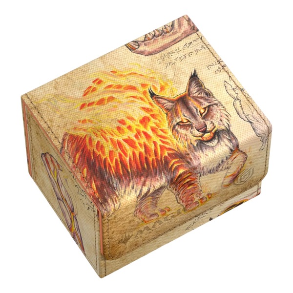 Image 3