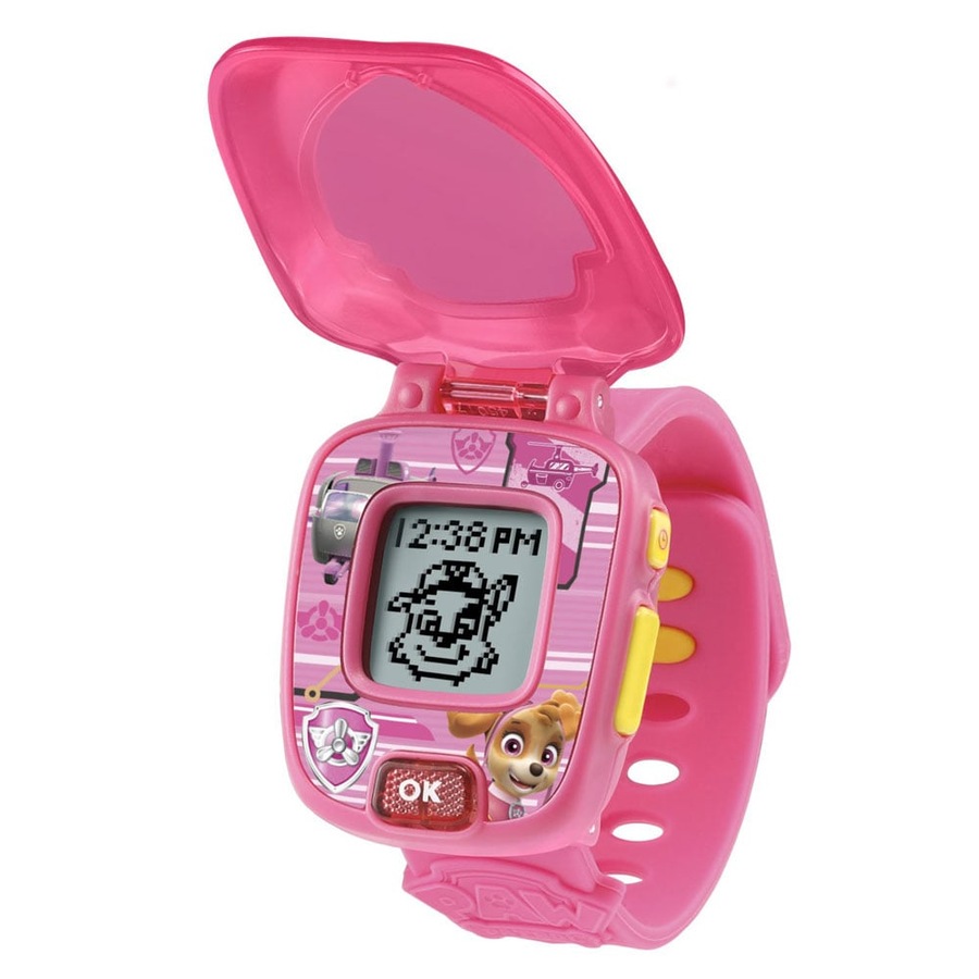 VTech Paw Patrol Skye Learning Watch