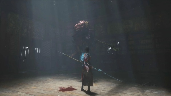 Image 6