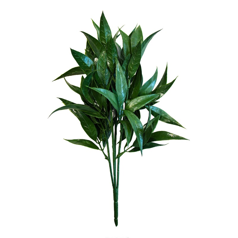 Buy Willow Oak Bush MyDeal