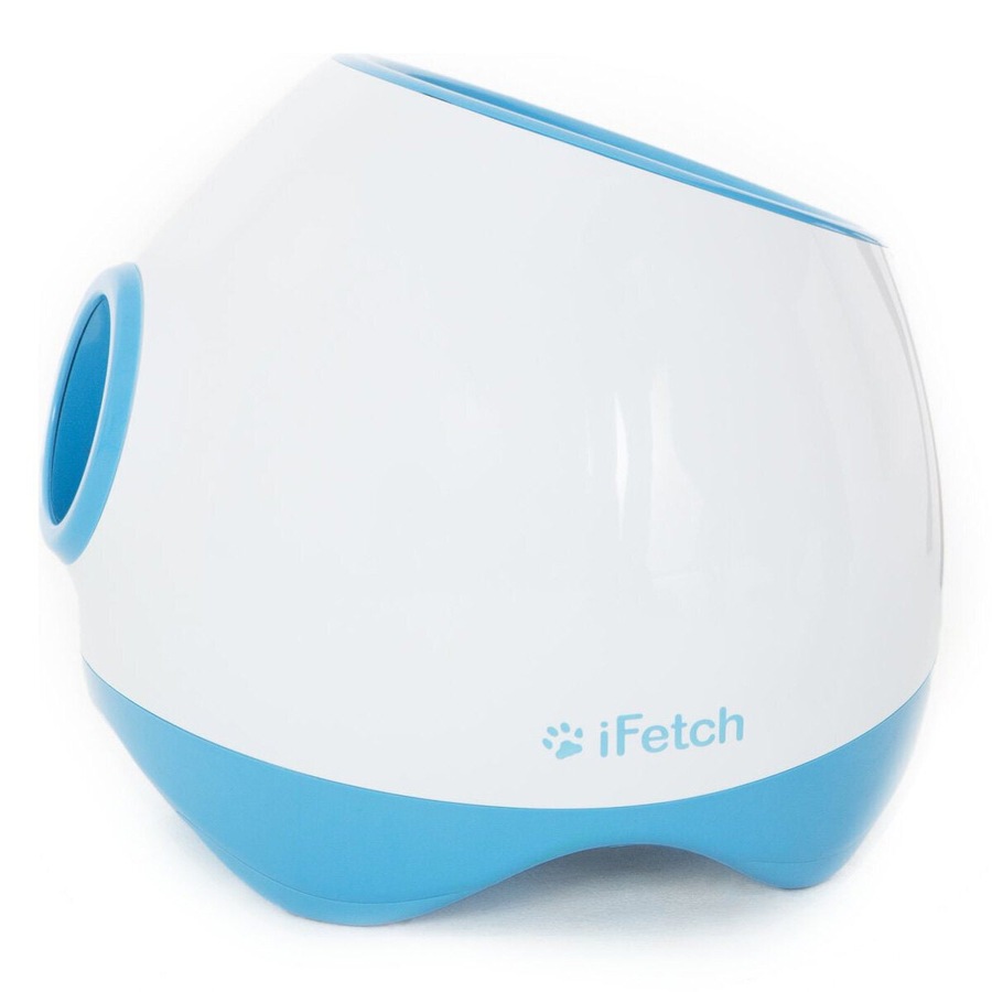 Buy iFetch Too Ball Launcher - - Everyday Rewards Shop