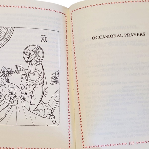 Image 7