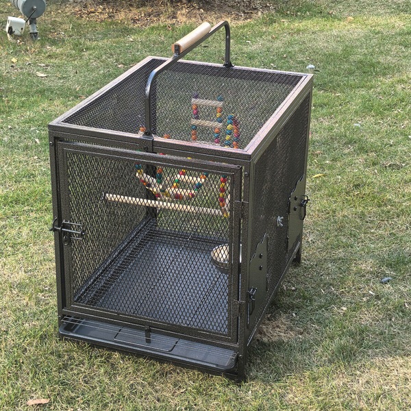 Image 4