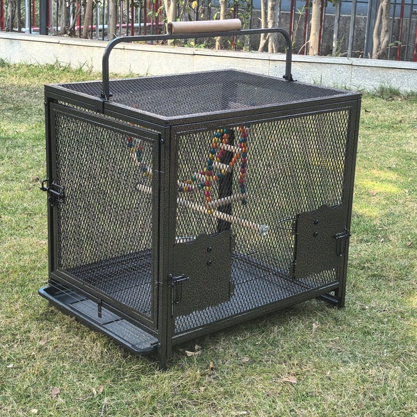 Image 5