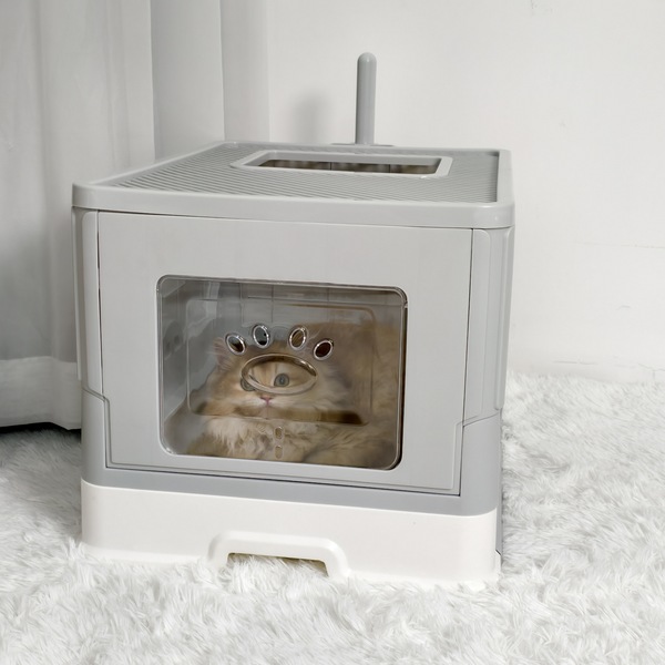 Image 5