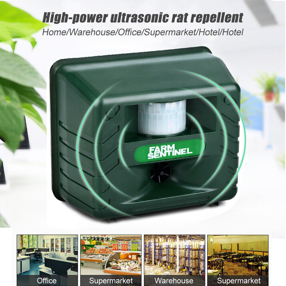 Buy Ultrasonic Electronic Pest & Animal Rat Repeller Motion Sensor ...