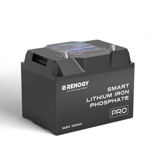 Renogy 12V 100Ah Pro Deep Cycle Lithium Iron Phosphate Battery with Bluetooth &