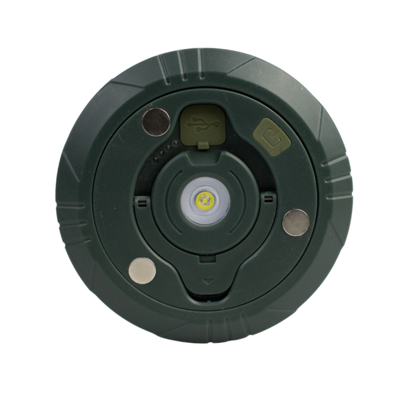 Image 5