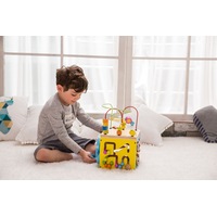 Classic World Multi Activity Cube