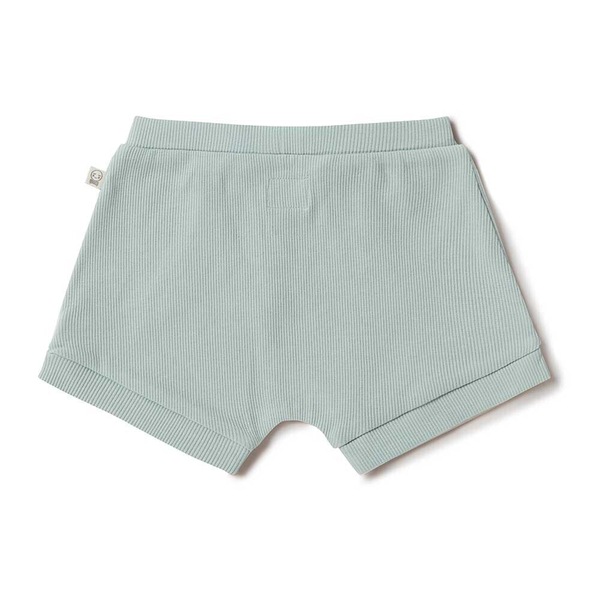 Image 6