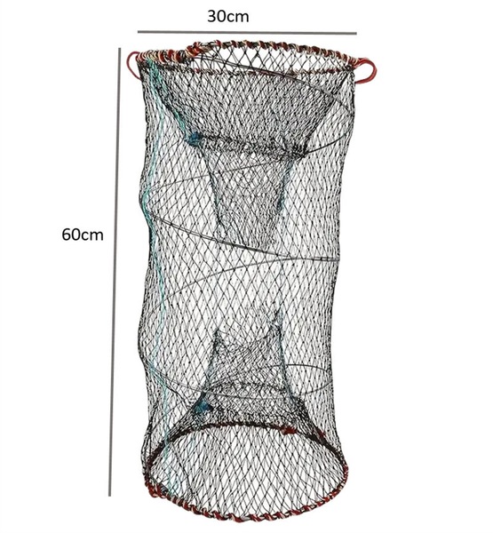 Image 5