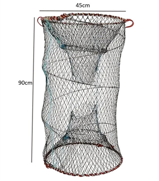 Image 5