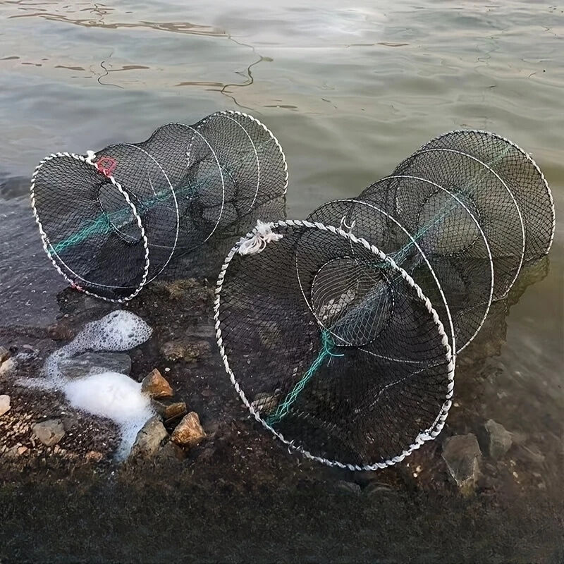 Image 6