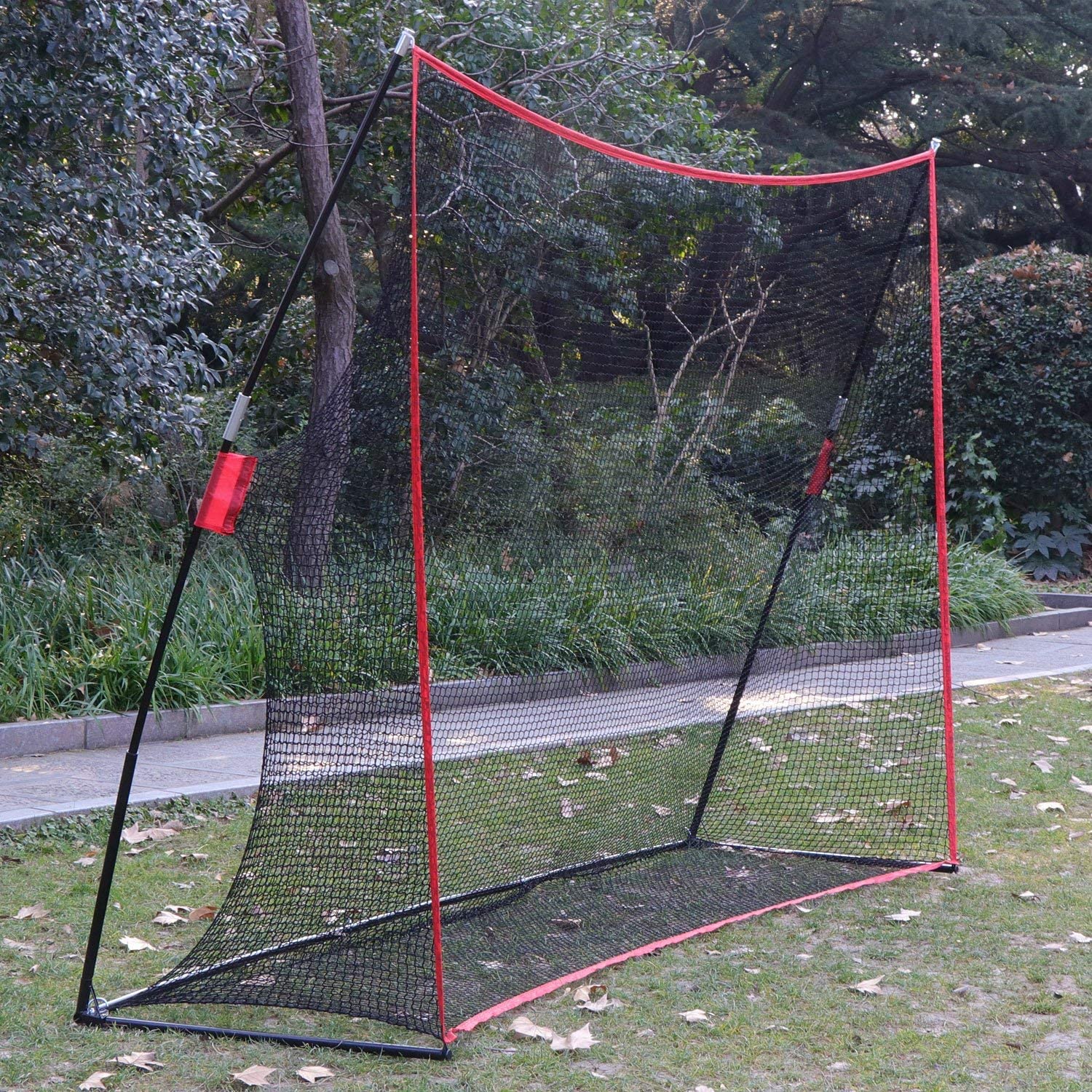 Image 6
