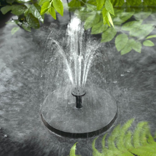 Image 11
