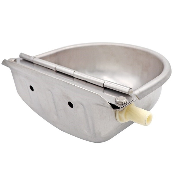 Image 11